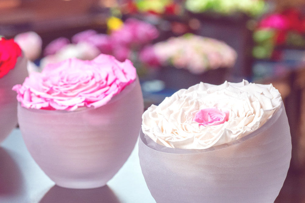 Infinite Roses®