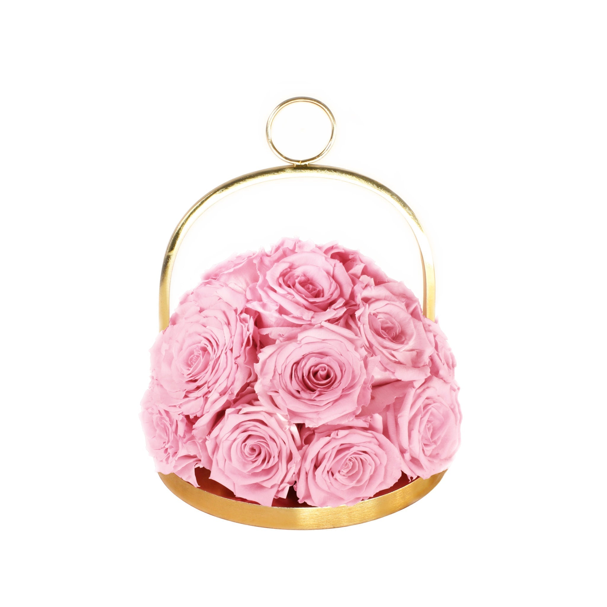 Infinite Rose Lantern Dome