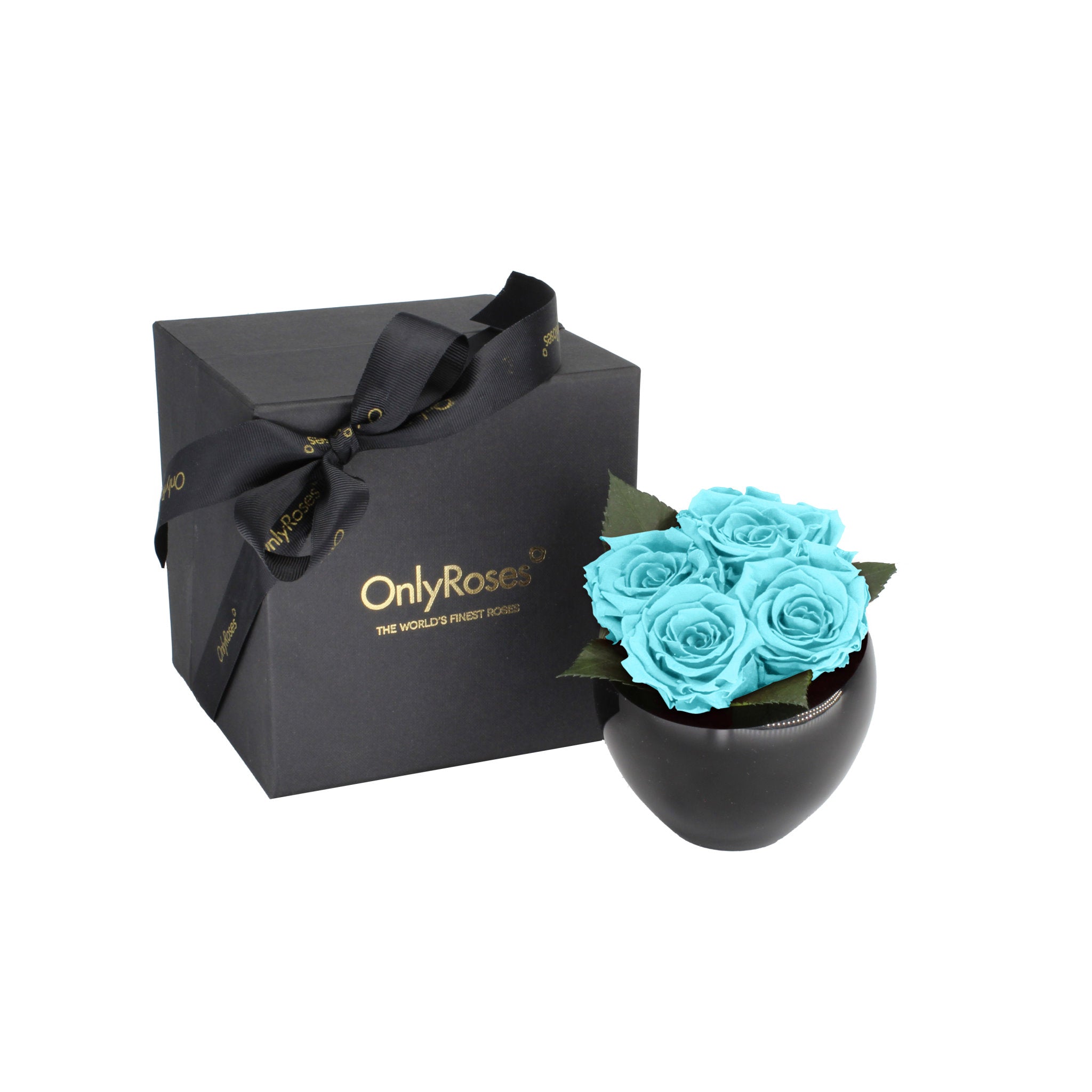 Infinite Rose Quartet