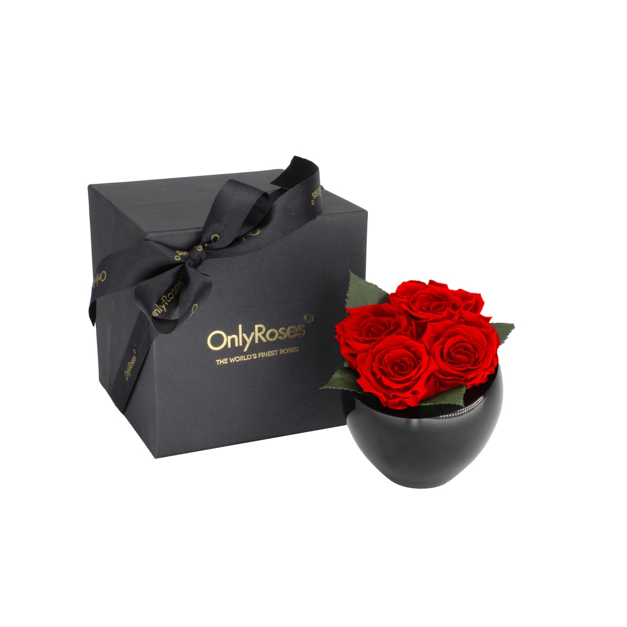 Black gift box with a black bow and 'Only Roses' branding, next to a black vase with red roses on a white background.