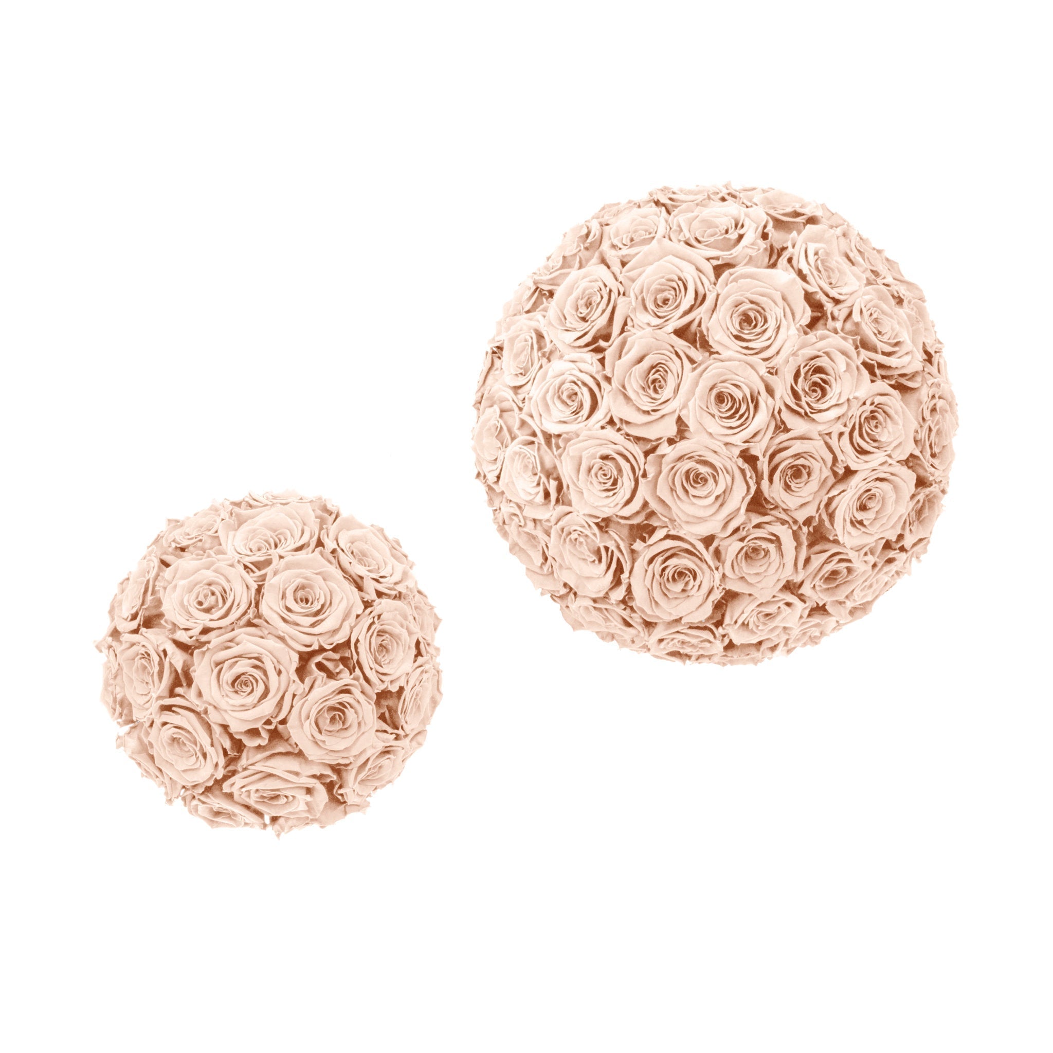 Two spherical arrangements of pink roses on a white background