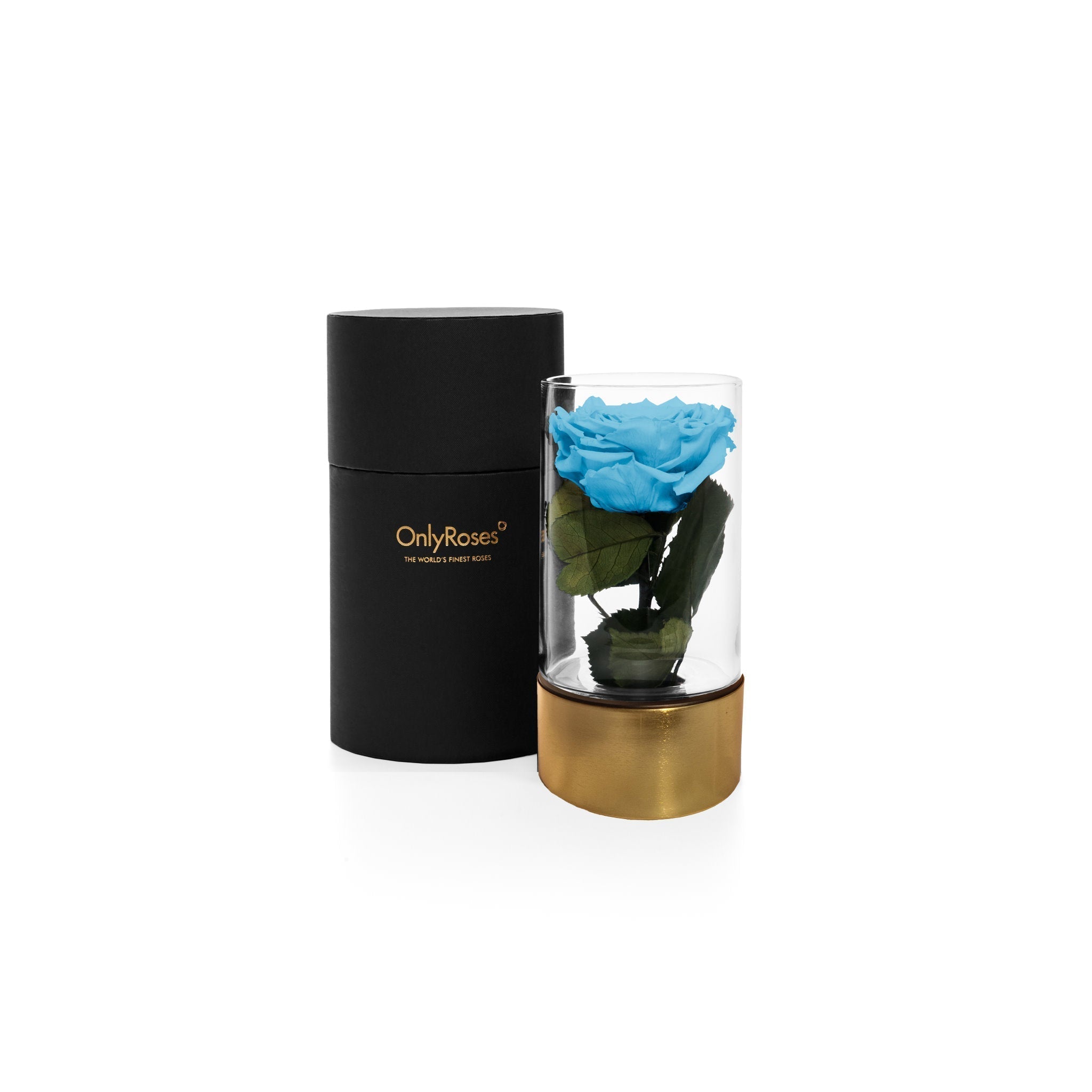 Infinite Rose Ebony GE