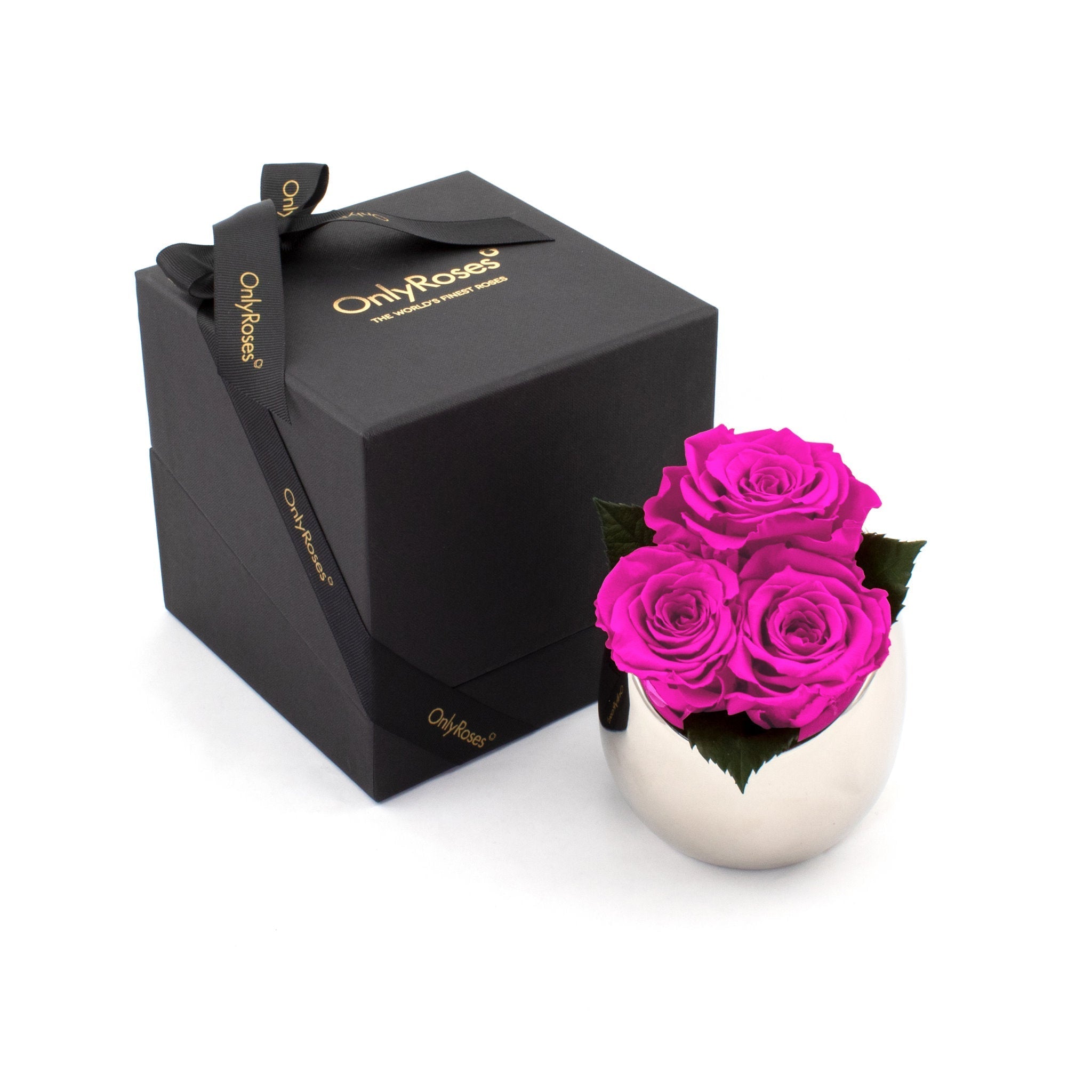 Infinite Rose Fortune