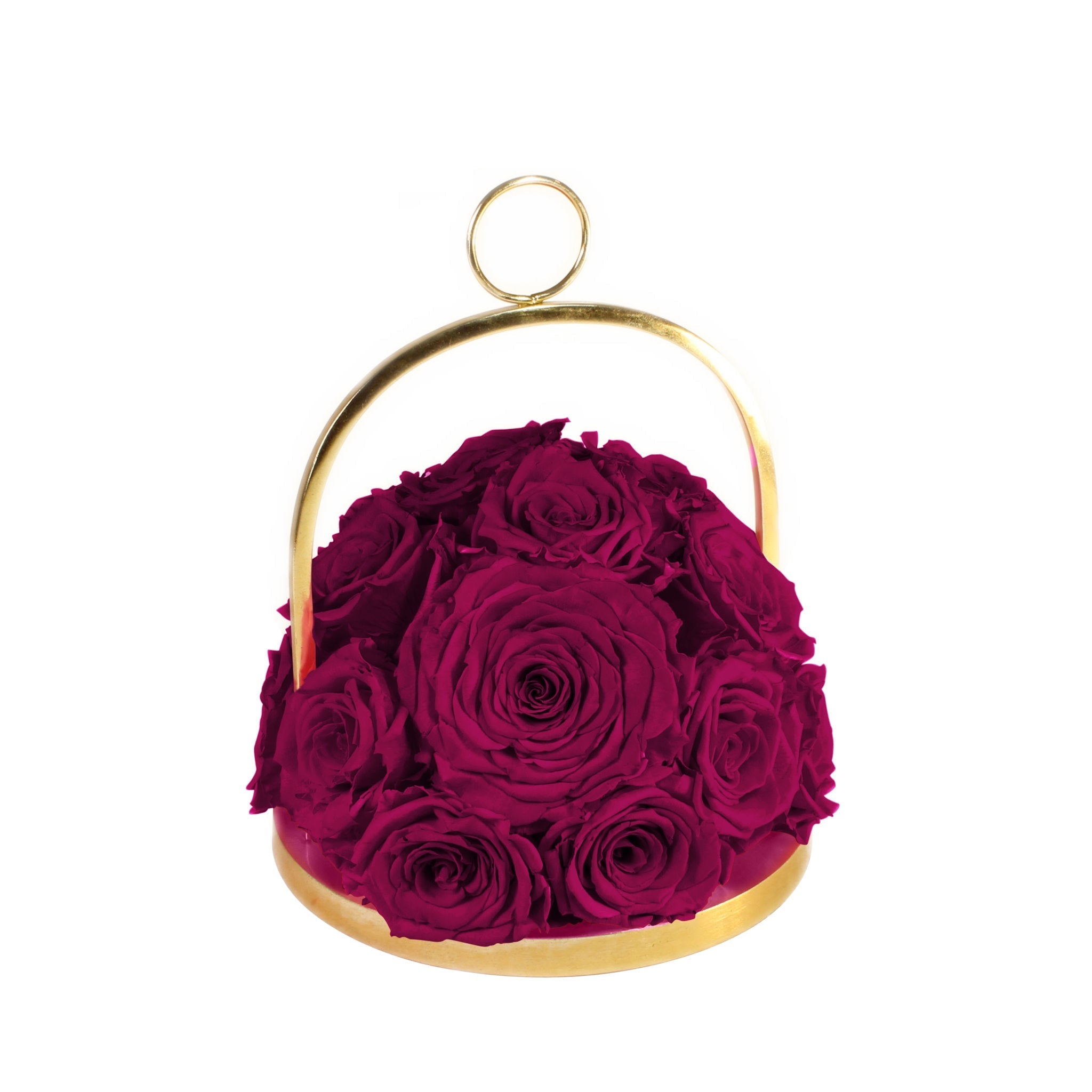 Gold hoop with red roses on a white background