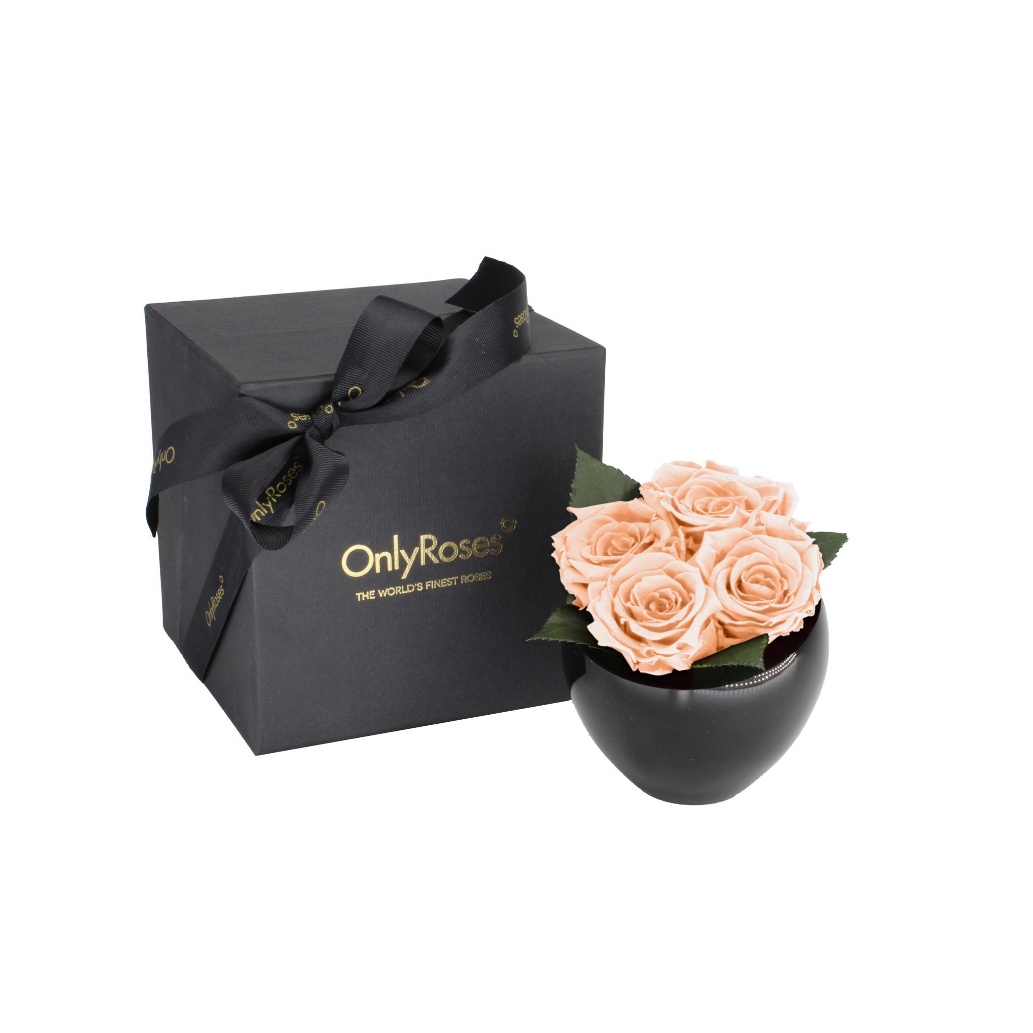 Black gift box with 'Only Roses' branding next to a black vase with peach roses on a white background