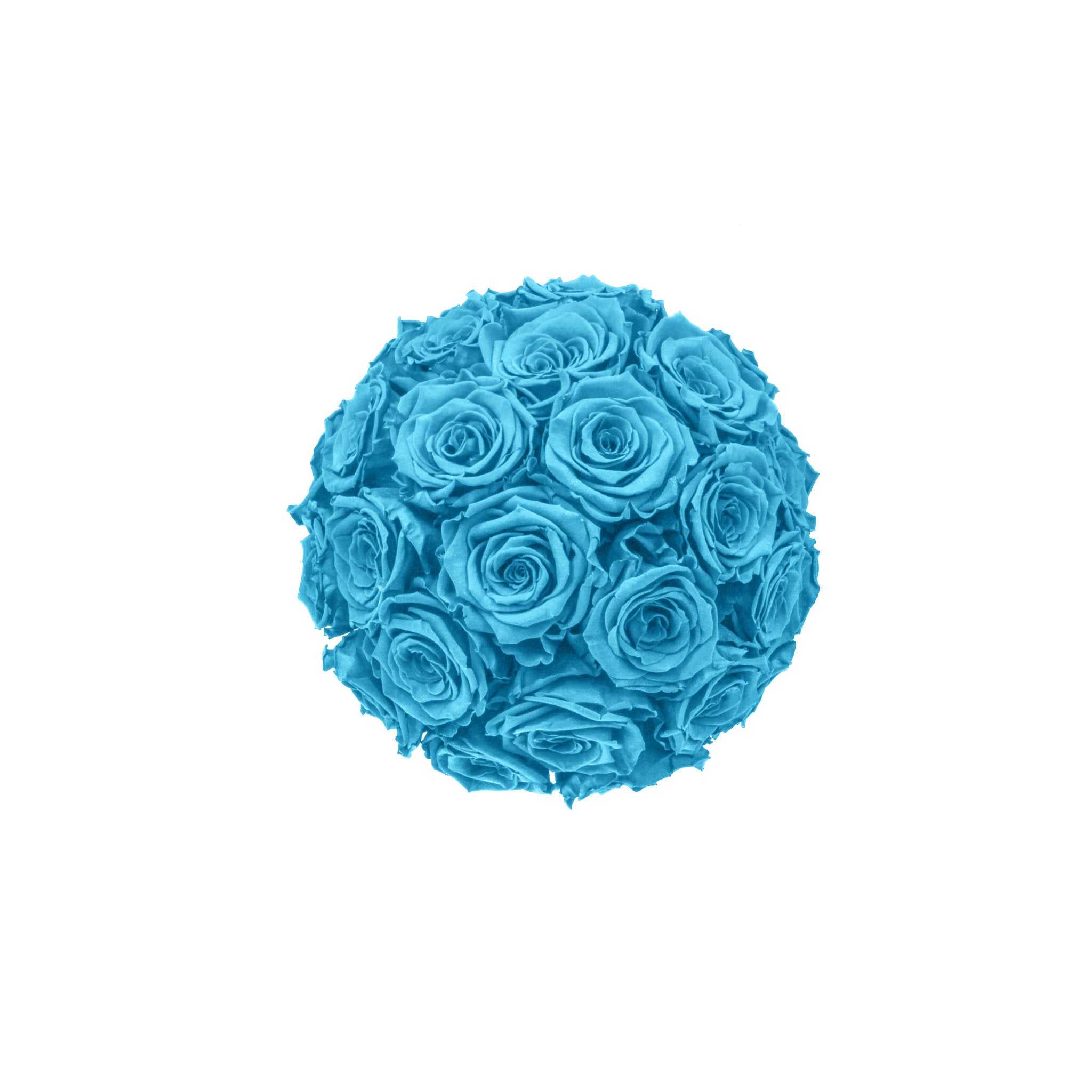 Bouquet of blue roses on a white background