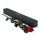 red rose with green leaves next to a black box labeled 'Only Roses' on a white background