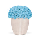 Beige vase with blue roses on a white background